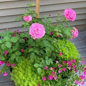 Meet your Posher, Christine